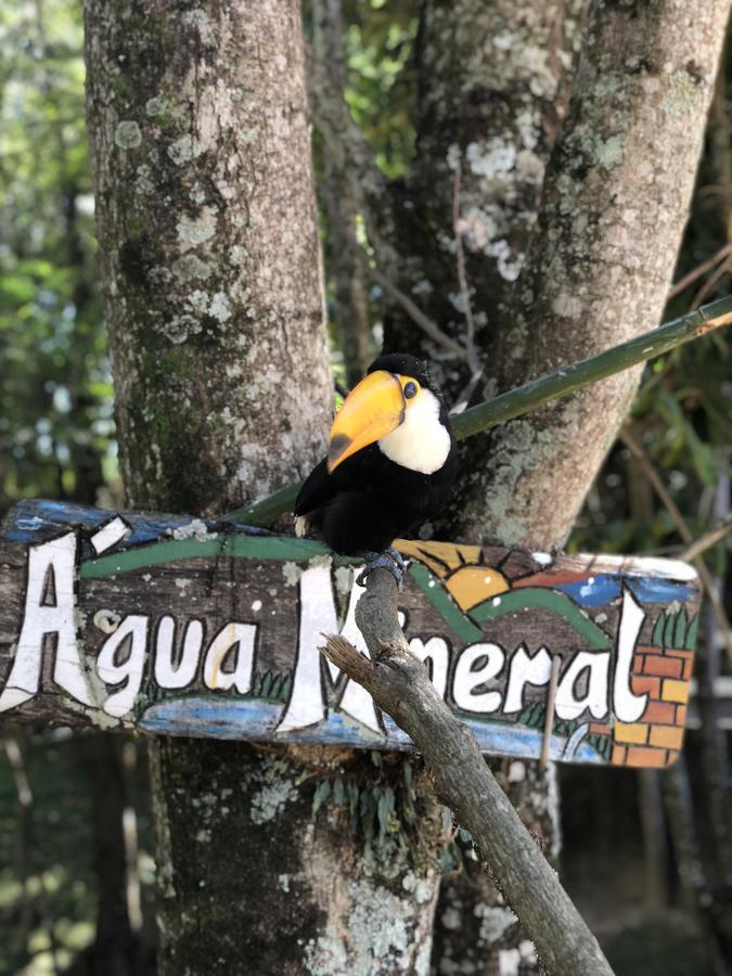 Hotel Fazenda Morro Pelado Águas de Lindóia Zewnętrze zdjęcie